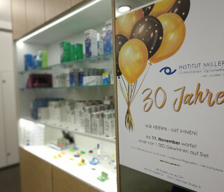 Geschichte 30 Jahre Institut